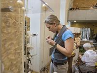 Brněnská růže 2014 - Fotogalerie z průběhu soutěže