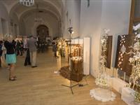 Brněnská růže 2014 - Fotogalerie z průběhu soutěže